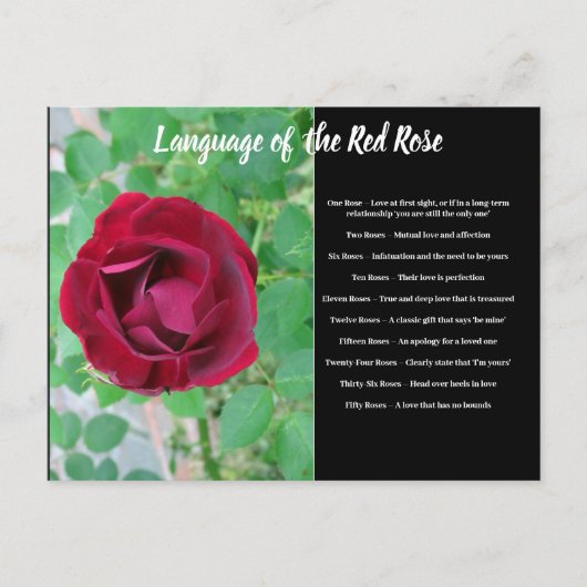 バラはがきの言語 ポストカード (正面)