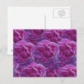 バラはがき ポストカード (正面/裏面)