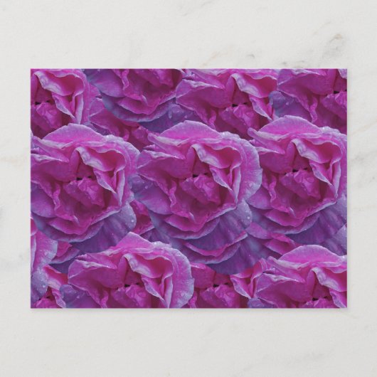 バラはがき ポストカード (正面)