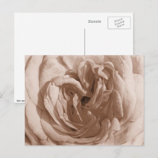 バラはがき ポストカード (正面/裏面)