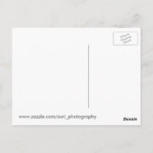 バラはがき ポストカード (裏面)