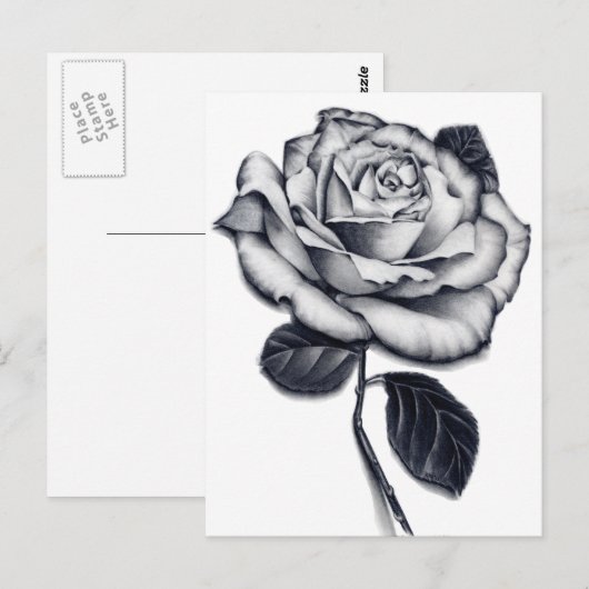 バラはがき ポストカード (正面/裏面)
