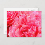 バラはがき ポストカード (正面/裏面)