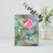 バラはがき ポストカード (スタンド正面)