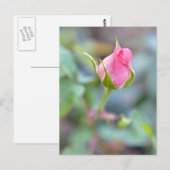バラはがき ポストカード (正面/裏面)