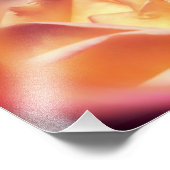 バラはまだ知っている感動的引用文8x10 フォトプリント (角)