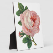 バラはピンク フォトプラーク (側面)