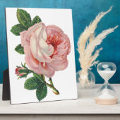 バラはピンク フォトプラーク (側面)