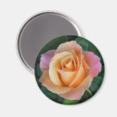 バラは桃でない限り赤い！マグネット マグネット (正面/裏面)