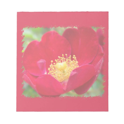 バラは赤いメモ帳 ノートパッド (正面)