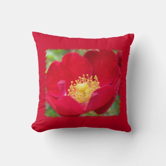 バラは赤枕 クッション (正面)