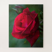 バラは赤16"x20"の簡単 ジグソーパズル (縦)