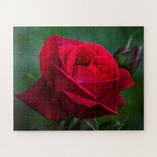 バラは赤16"x20"の簡単 ジグソーパズル (横)
