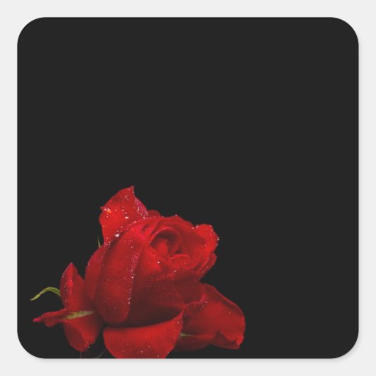 バラは赤 スクエアシール (正面)