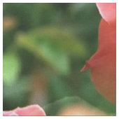 バラは赤… ファブリック (クローズアップ)