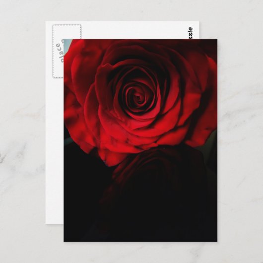 バラは赤…... ポストカード (正面/裏面)