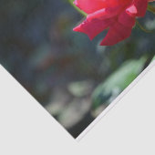 バラはNYの州花です 薄葉紙 (詳細)