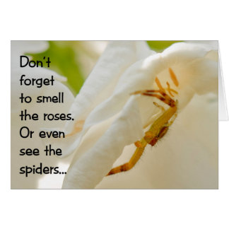 バラをかぐために忘れないで下さい