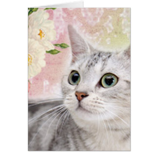 バラをかぐ停止