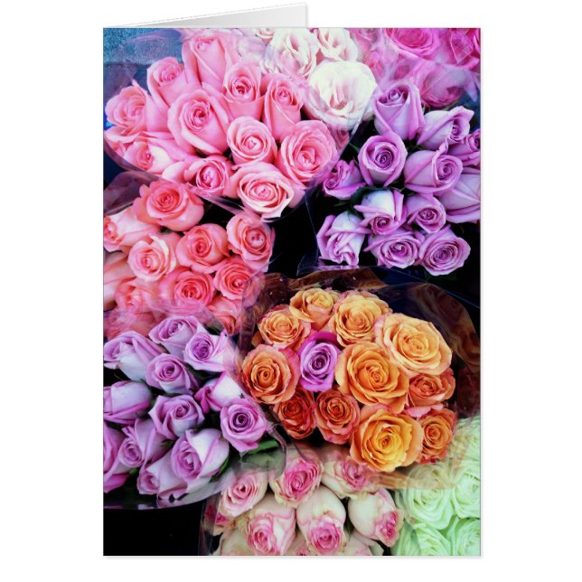 バラをストップ、かいで下さい (正面)