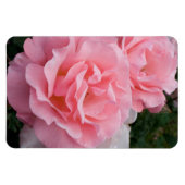 バラを置き換え縦型パーソナライズされたMake マグネット (横)