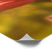 バラアットサンセット ポスター (角)