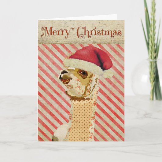 バラアルパカクリスマスカード シーズンカード (正面)