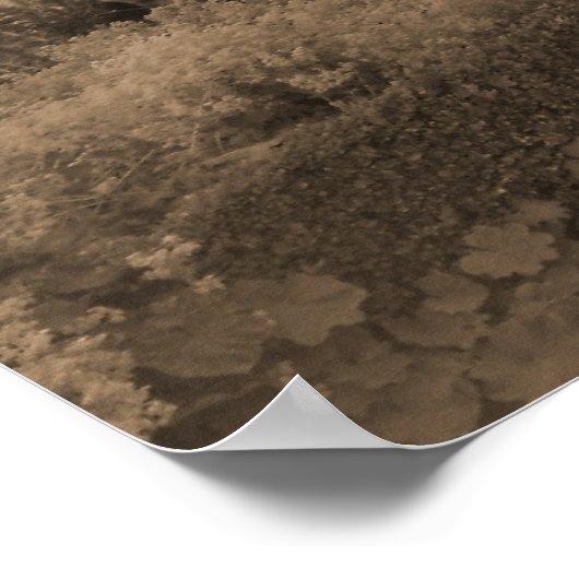 バラアーチ入口 ポスター (角)