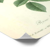 バラインディカバイルドゥート ポスター (角)