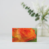 バラインマイガーデン 名刺 (スタンド正面)