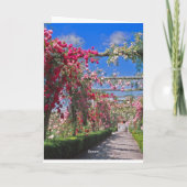 バラウォークカード カード (裏面)