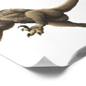 バラウボンドクプリント ポスター (角)