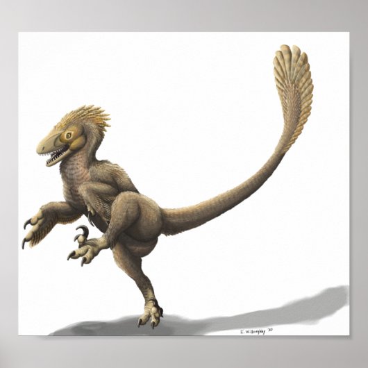 バラウボンドクプリント ポスター (正面)