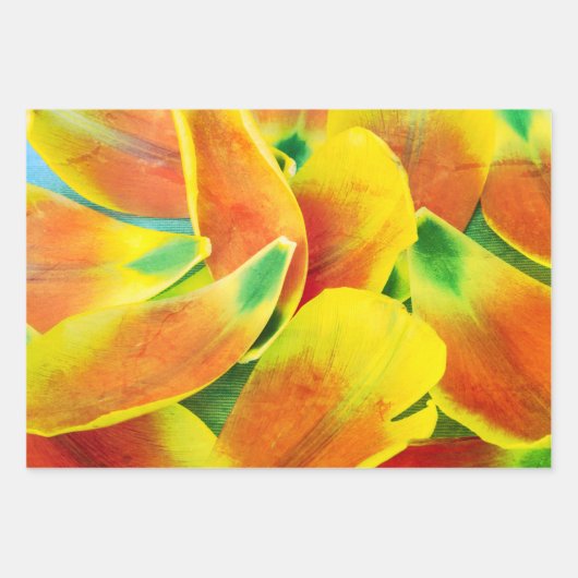 バラエティカラフルチューリップペタルフォトすべての行事 ラッピングペーパーシート (正面2)