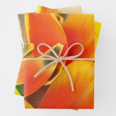 バラエティカラフルチューリップペタルフォトすべての行事 ラッピングペーパーシート (インサイチュ)