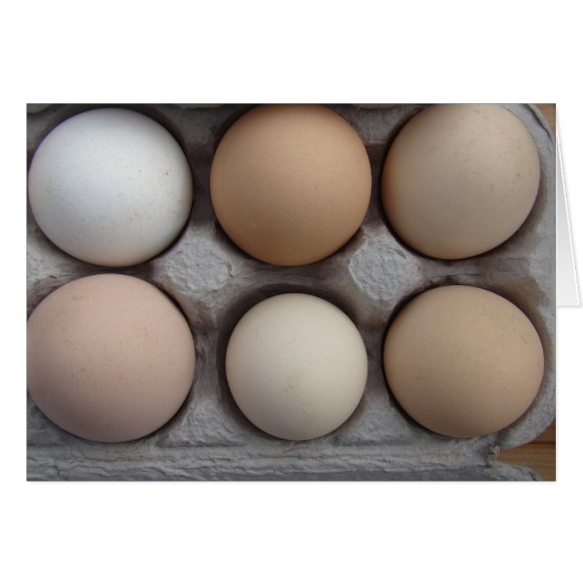 バラエティーの多い品種 (正面横)