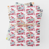 バラエティーパックラッピング紙 ラッピングペーパーシート (インサイチュ)