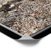 バラエティ・オブ・コングレス、アリゾナ・ラトルズナーク ポスター (角)