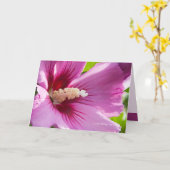 バラオブシャロン カード (黄色い花)