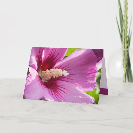 バラオブシャロン カード (正面)