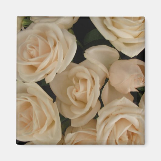 バラオン冷蔵庫 マグネット (正面)