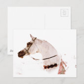 バラオン・グレー ポストカード (正面/裏面)