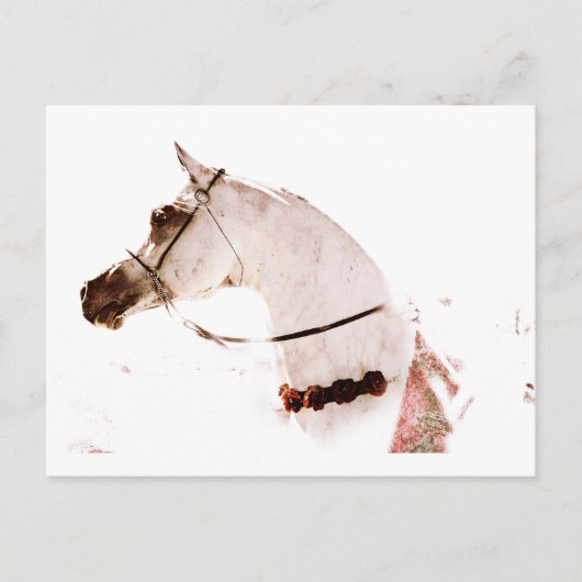 バラオン・グレー ポストカード (正面)