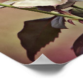 バラオールドワールドポートレート写真アートプリント ポスター (角)