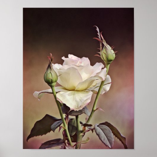 バラオールドワールドポートレート写真アートプリント ポスター (正面)