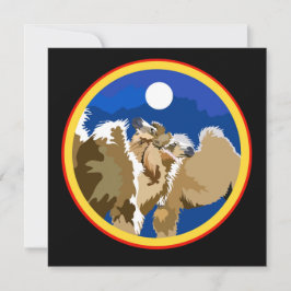 バラカとYes! カード