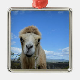 バラカザスマイルラクメルオーナメント メタルオーナメント