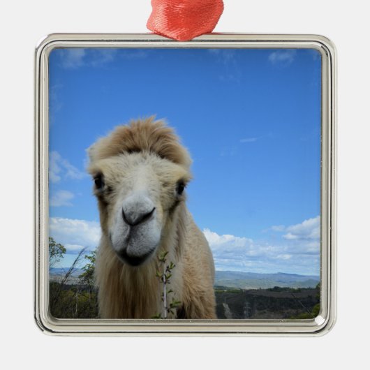 バラカザスマイルラクメルオーナメント メタルオーナメント (正面)