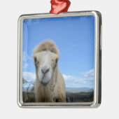 バラカザスマイルラクメルオーナメント メタルオーナメント (左)