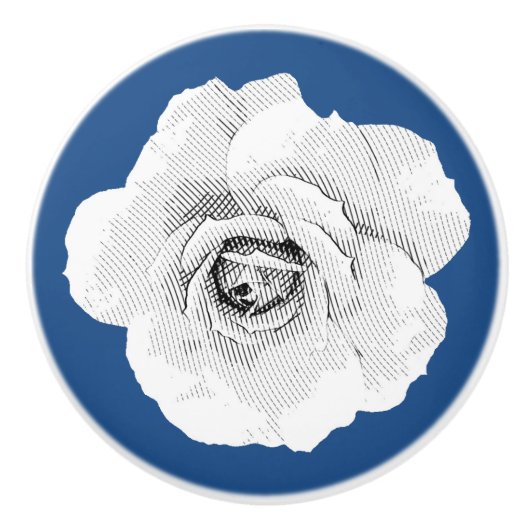 バラカスタムのカラーグラフィックのキャビネットのノブ セラミックノブ (正面)